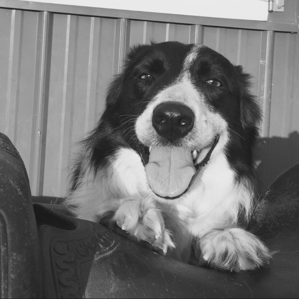 Meet your Posher, Sawyer